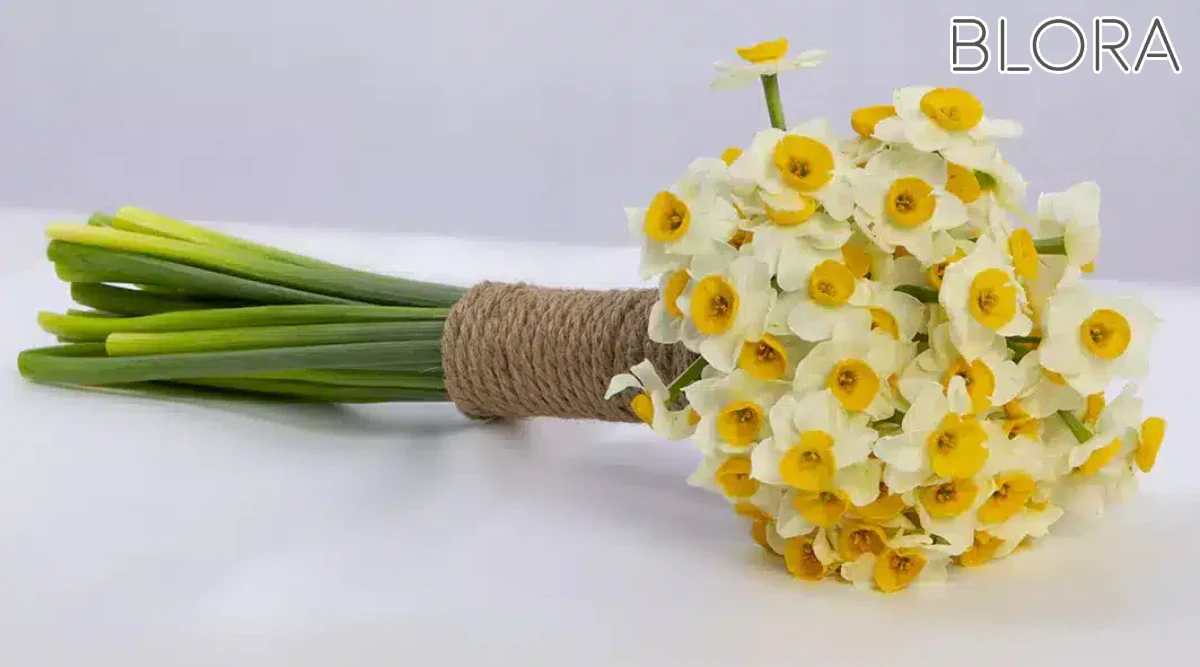 دسته گل نرگس