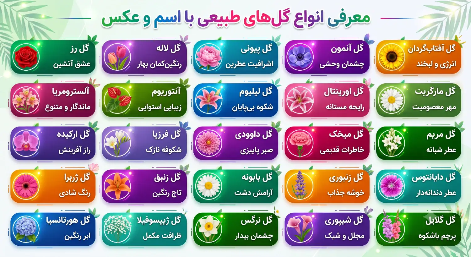 عکس گل طبیعی