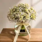 جار بابونه کد 1040