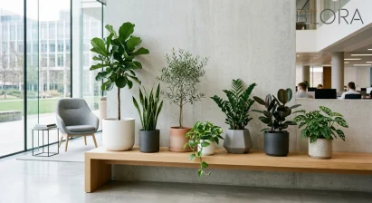 بهترین گیاهان محل کار