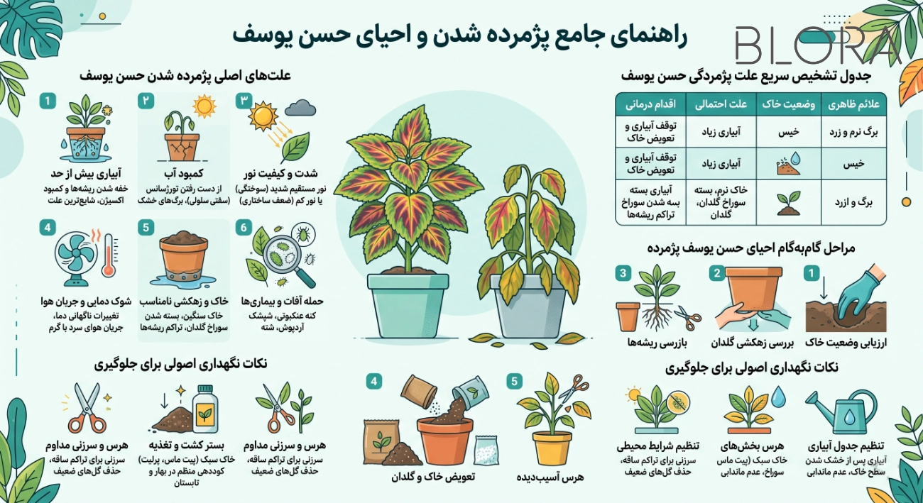 راهنمای جامع نگهداری حسن یوسف